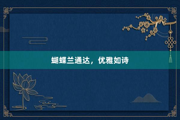 蝴蝶兰通达，优雅如诗