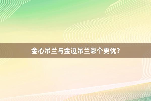 金心吊兰与金边吊兰哪个更优？