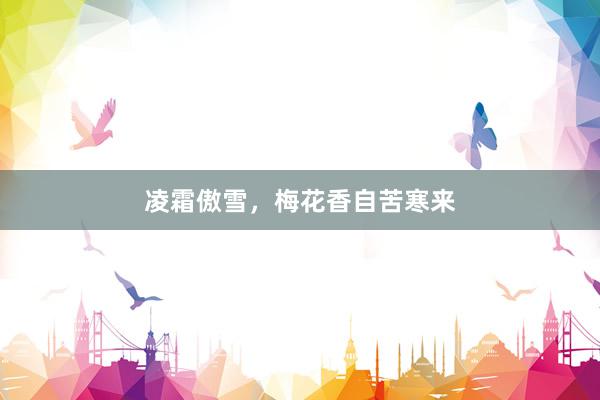凌霜傲雪，梅花香自苦寒来