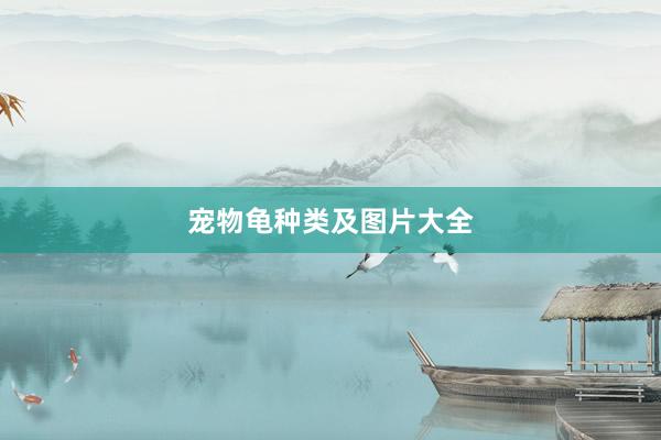 宠物龟种类及图片大全